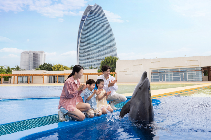 海豚邂逅